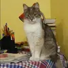 Отзыв от Нинель Николаева